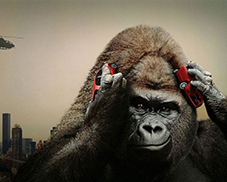 Consectetur adipiscing elit